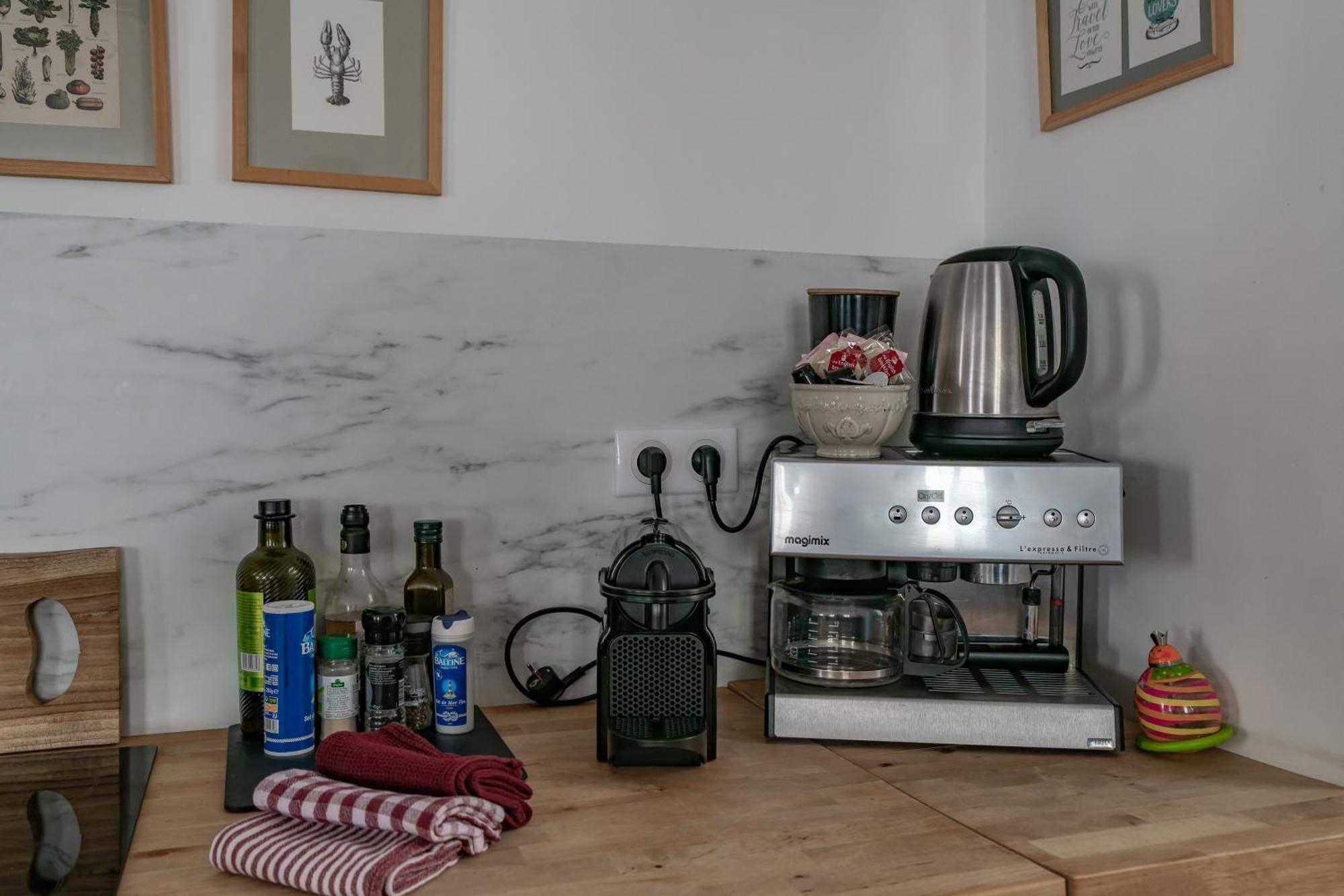 Grande Maison Vichy - Maison Ou Appartements En Centre Ville Habitación foto