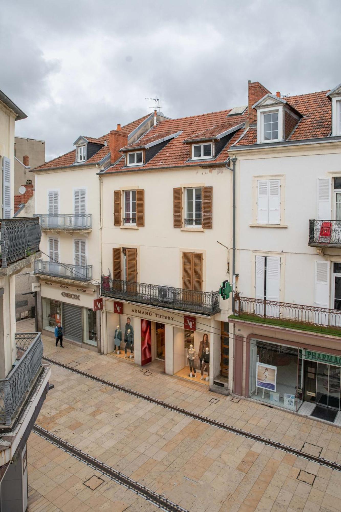Grande Maison Vichy - Maison Ou Appartements En Centre Ville Habitación foto